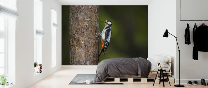 PHOTOWALL / Woodpecker (e324875)