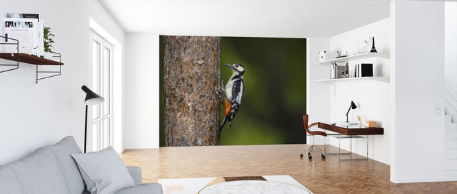 PHOTOWALL / Woodpecker (e324875)