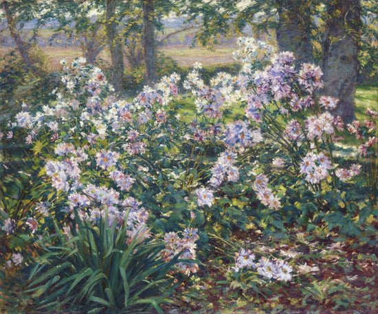 PHOTOWALL / Windflowers - Ruger Donoho (e325864)