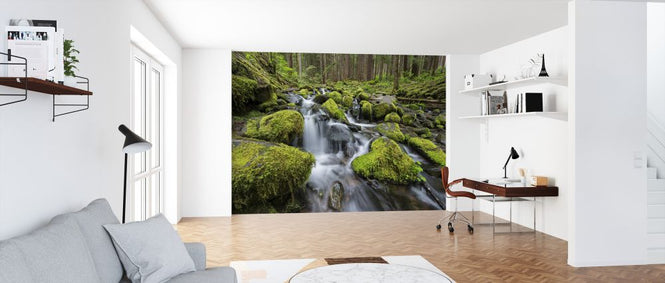 PHOTOWALL / Moss-Covered Rocks in River (e324561)