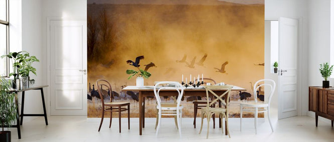 PHOTOWALL / Sandhill Cranes and Snow Geese (e324576)