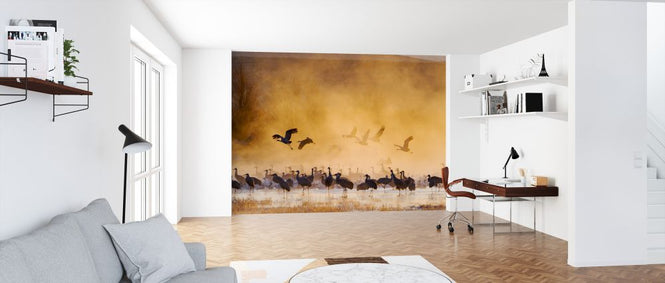 PHOTOWALL / Sandhill Cranes and Snow Geese (e324576)