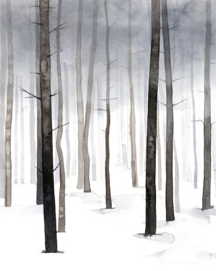 PHOTOWALL / Hazy Winter Walk (e324673)