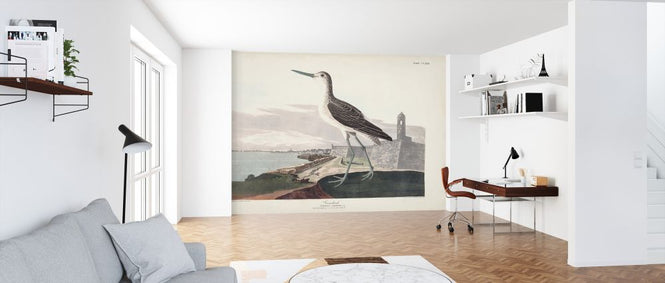 PHOTOWALL / Greenshank (e324695)
