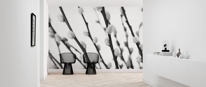 PHOTOWALL / Pussy Willows (e326256)