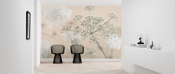 PHOTOWALL / Cow Parsley (e326283)