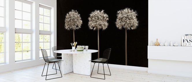 PHOTOWALL / Three Allium Flowers (e326298)