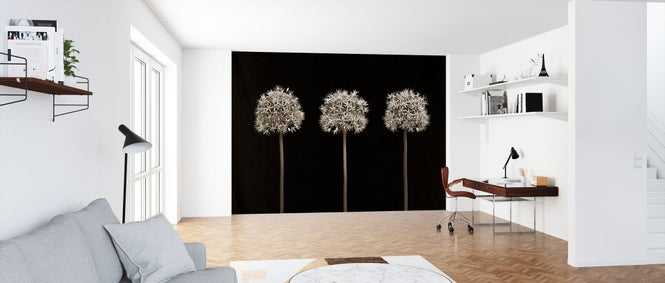 PHOTOWALL / Three Allium Flowers (e326298)