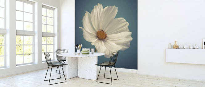 PHOTOWALL / Cosmos (e326320)