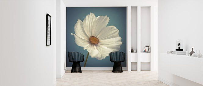 PHOTOWALL / Cosmos (e326320)