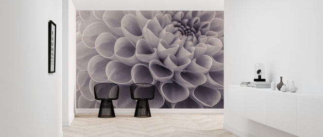 PHOTOWALL / Dahlias (e326328)