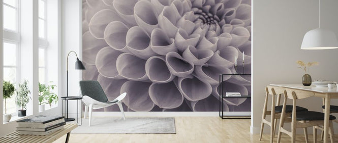 PHOTOWALL / Dahlias (e326328)