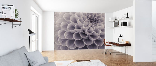 PHOTOWALL / Dahlias (e326328)