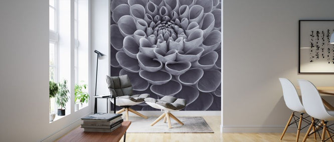 PHOTOWALL / Dahlias (e326329)