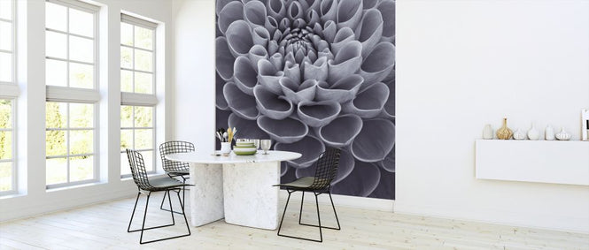 PHOTOWALL / Dahlias (e326329)