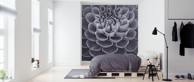 PHOTOWALL / Dahlias (e326329)