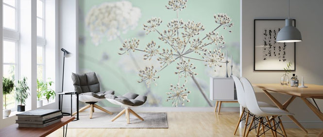 PHOTOWALL / Cow Parsley (e326333)