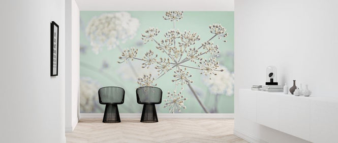 PHOTOWALL / Cow Parsley (e326333)