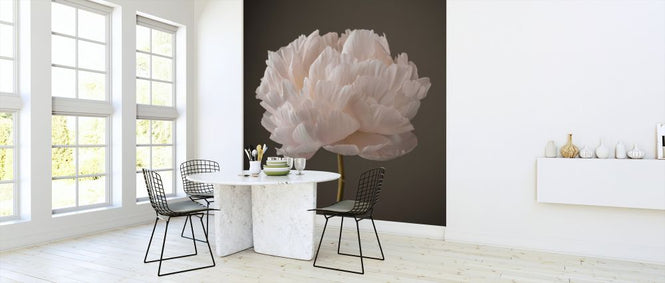 PHOTOWALL / Peonies (e326340)