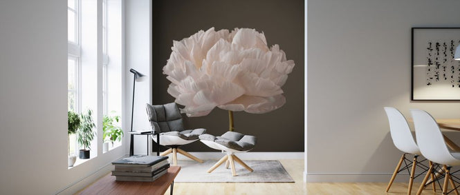 PHOTOWALL / Peonies (e326340)