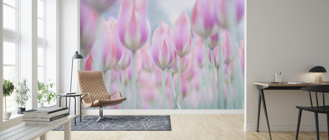 PHOTOWALL / Kuekenhof (e326341)