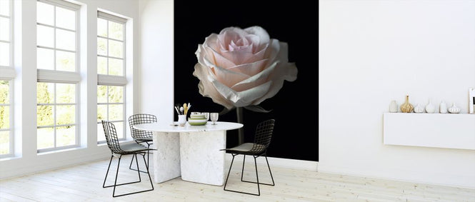PHOTOWALL / Rose (e326342)