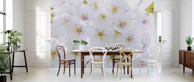 PHOTOWALL / Blossom (e326399)