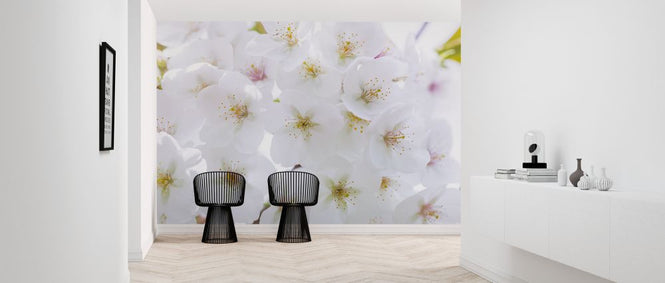 PHOTOWALL / Blossom (e326399)