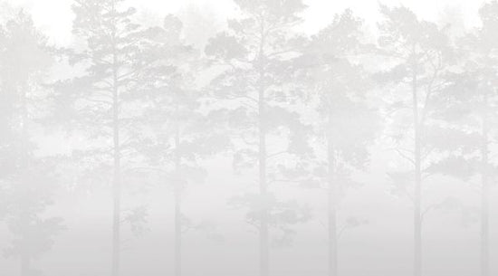 PHOTOWALL / Misty Pine Forest - Grey (e327620)