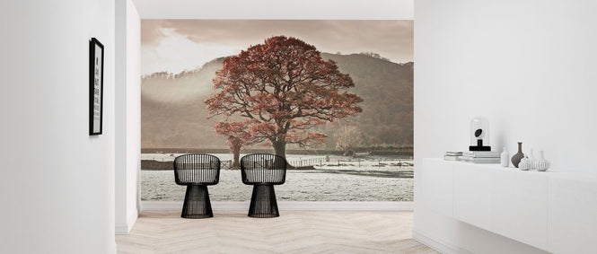 PHOTOWALL / Lake District (e326427)