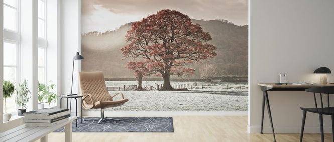 PHOTOWALL / Lake District (e326427)