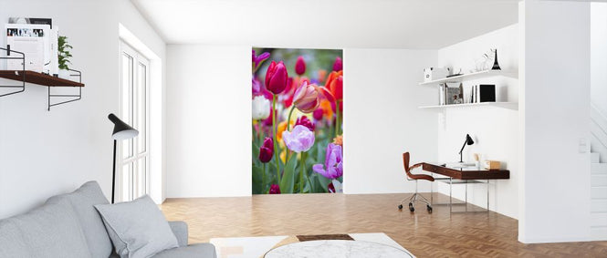 PHOTOWALL / Kuekenhof (e326450)