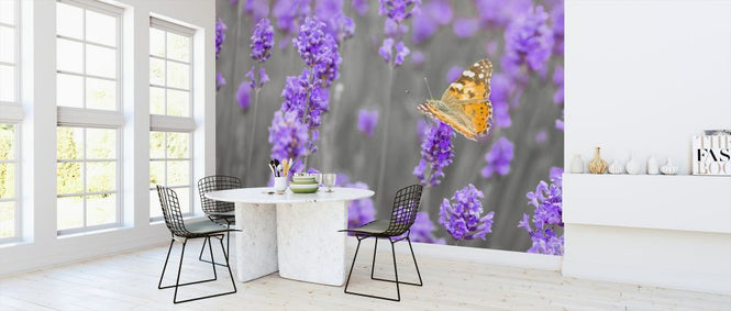 PHOTOWALL / Lavender (e326456)