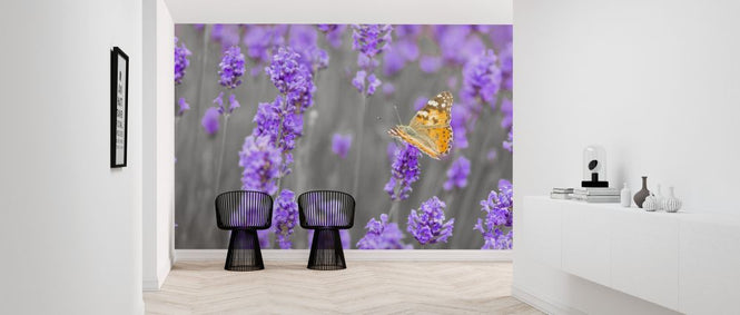 PHOTOWALL / Lavender (e326456)