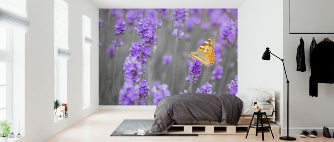 PHOTOWALL / Lavender (e326456)