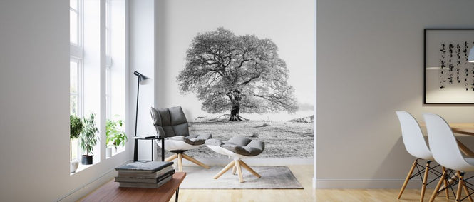 PHOTOWALL / Tree (e326470)