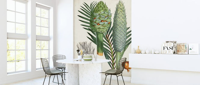 PHOTOWALL / Sago Palms (e324758)