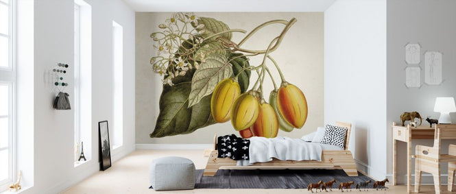 PHOTOWALL / Tropical Foliage Fruit III (e324763)