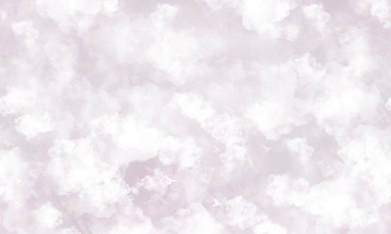 PHOTOWALL / Clouds and Birds - Pink (e327096)