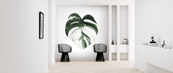 PHOTOWALL / Variegated Monstera (e324771)