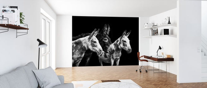 PHOTOWALL / Donkey Portrait II (e324958)