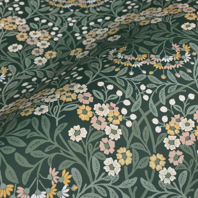 【限定数】rasch ラッシュ / 710045 (Sophia)