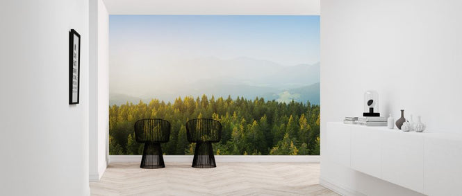 PHOTOWALL / Pine Forest at Sunrise (e327809)