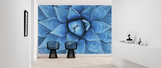 PHOTOWALL / Blue Agave Plant (e327831)