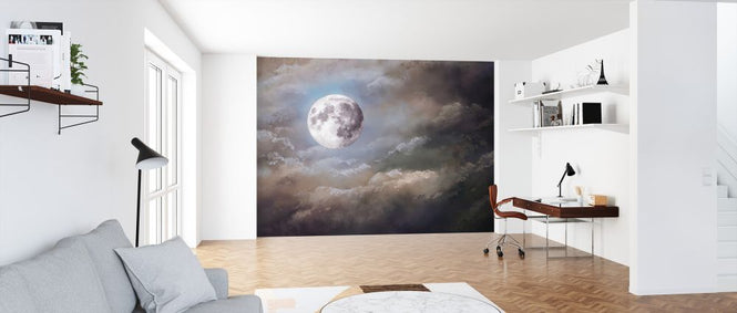 PHOTOWALL / Full Moon Night (e327991)