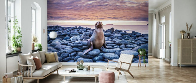 PHOTOWALL / Sea Lion on Rocks (e327020)