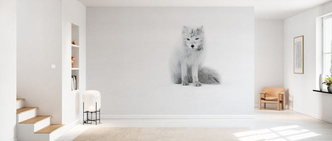 PHOTOWALL / Arctic Fox (e327058)