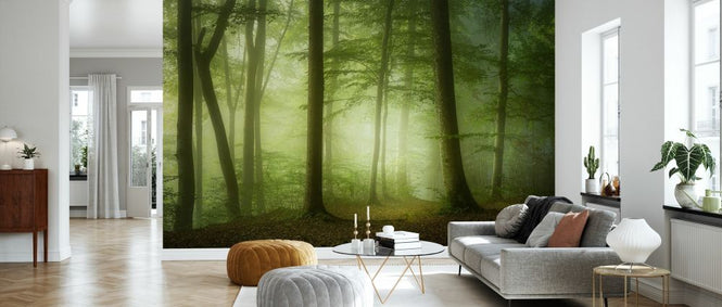 PHOTOWALL / Mysterious Spring Morning (e327068)