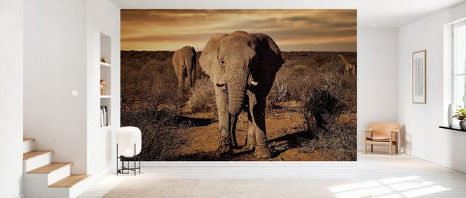 PHOTOWALL / Big (e327072)