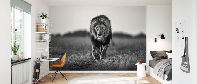 PHOTOWALL / Old Boy (e327074)